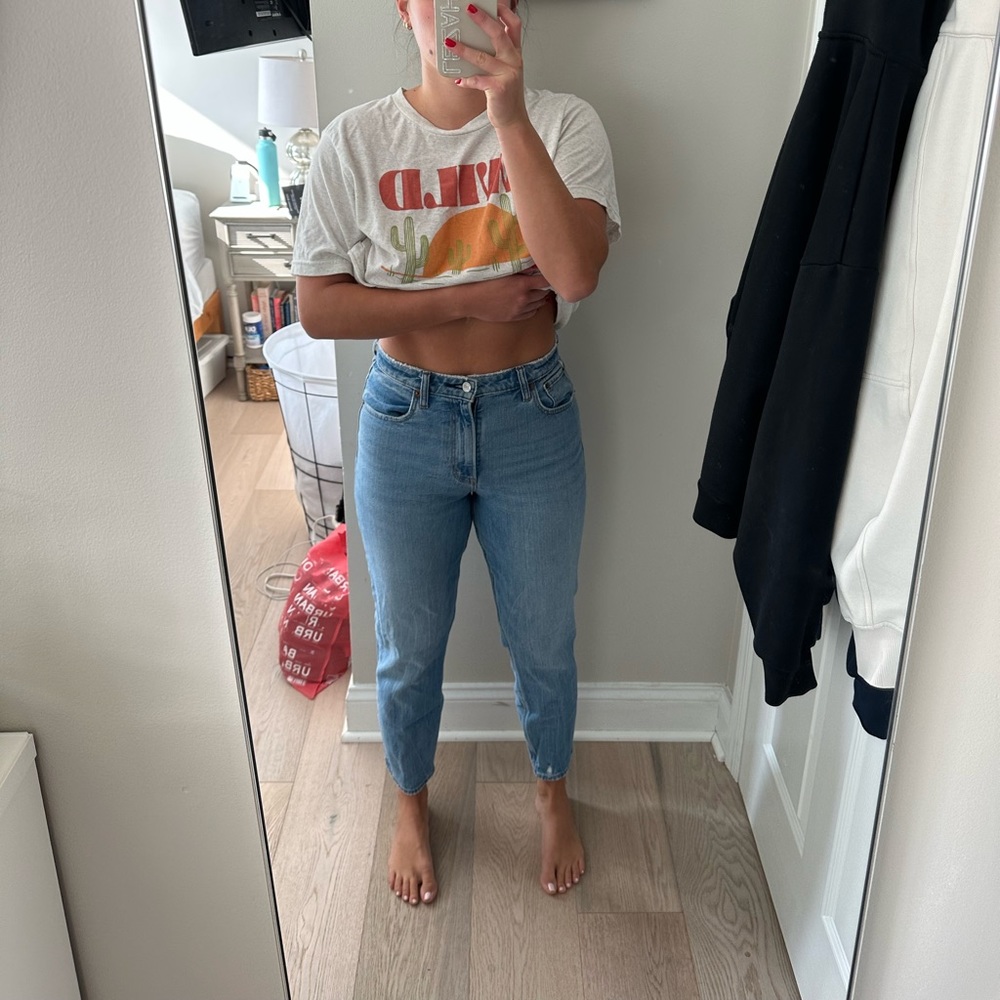 Abercrombie & Fitch jeans - the mom rise, curve love